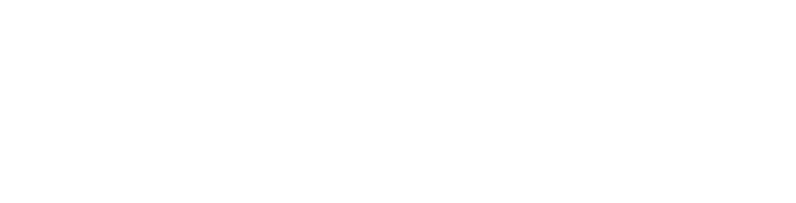 u.s. news world report logo white