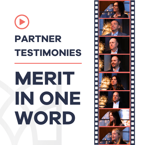 merit in one word blog thumbnail