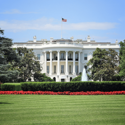 website thumbnails (4)